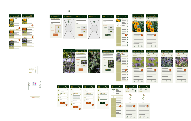 design_ca native plant-mod
